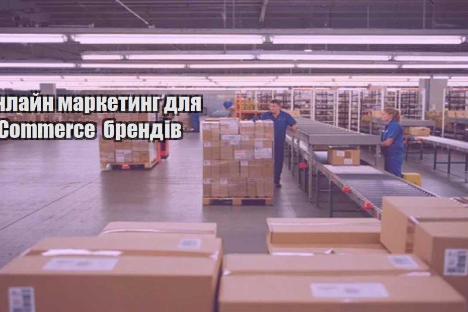 onlajn marketyng dlya ecommerce brendiv