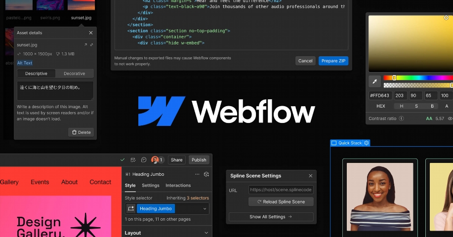 webflow ncgee
